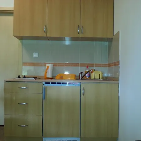 Apartment Studio Apartman Kamelija *